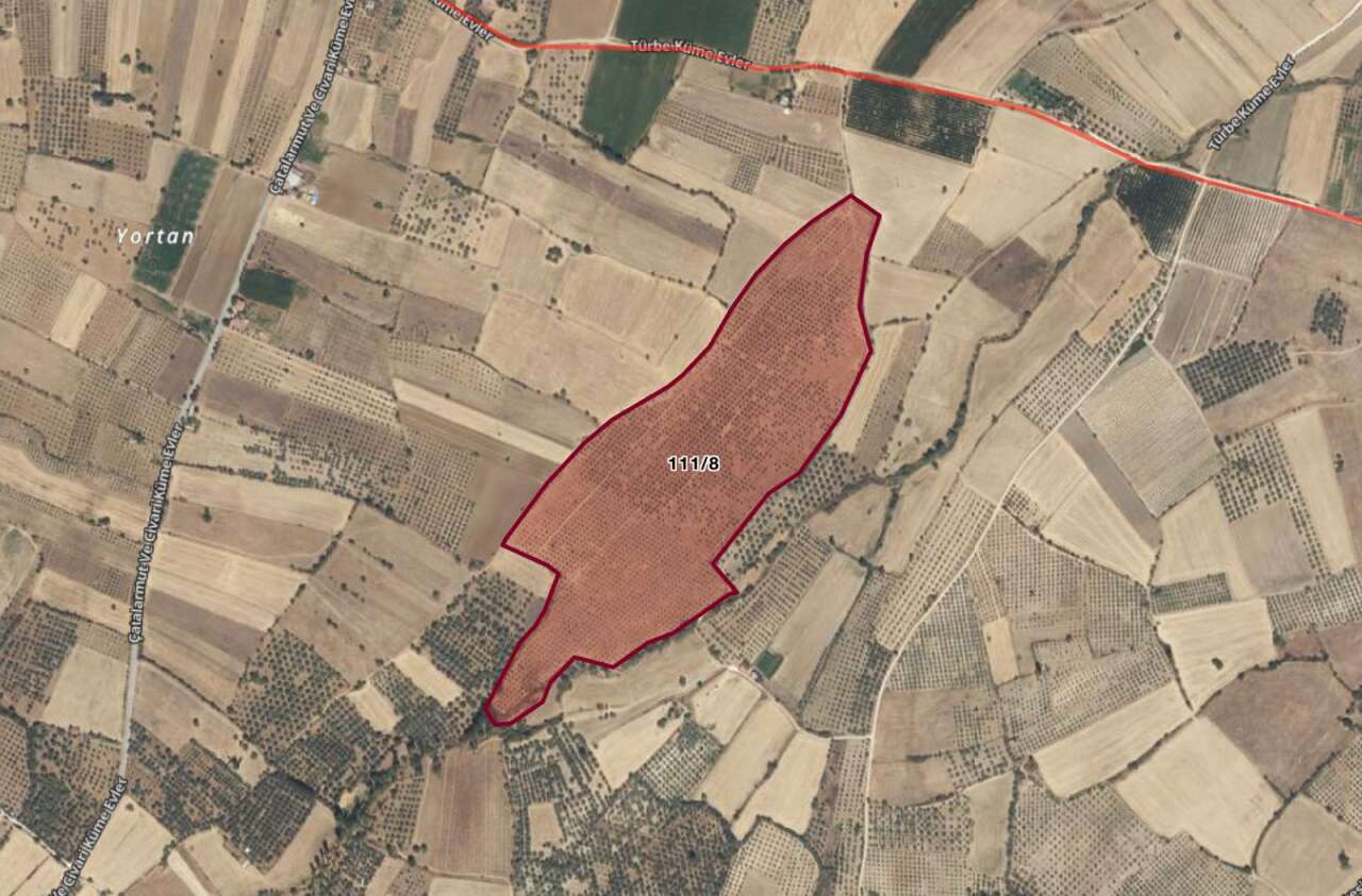 Denize Sıfır Zeytinlikler Kiraya Veriliyor: Aydın Vakıflar 86 Taşınmaz İçin İhaleye Çıkıyor 4